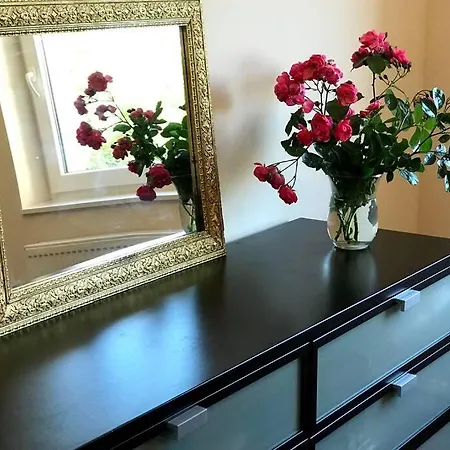 Apartment 'new' Sunkissed On The Old Hill