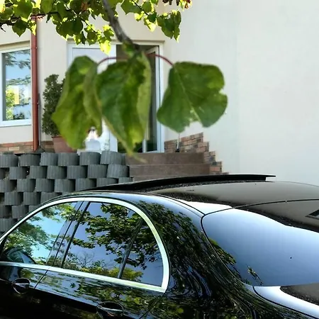 'new' Sunkissed On The Old Hill *