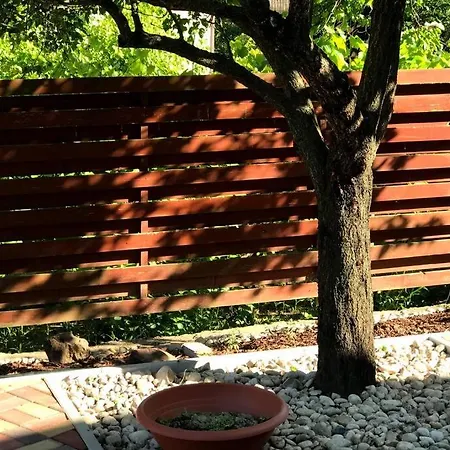 'new' Sunkissed On The Old Hill Apartment *