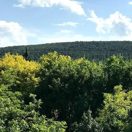 Apartment 'new' Sunkissed On The Old Hill