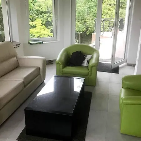 'new' Sunkissed On The Old Hill 公寓 巴拉顿诺尔马迪