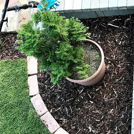 公寓 'new' Sunkissed On The Old Hill