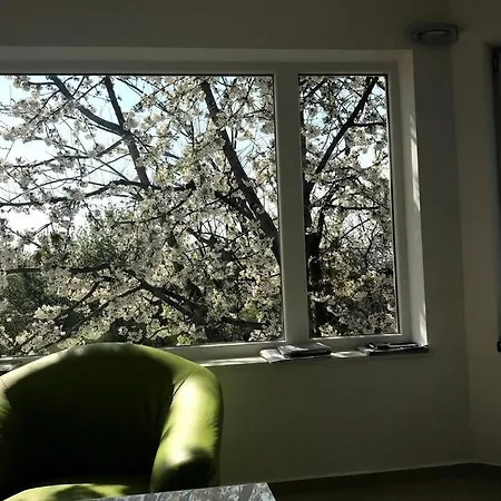 'new' Sunkissed On The Old Hill Balatonalmádi