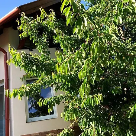 Apartment 'new' Sunkissed On The Old Hill *