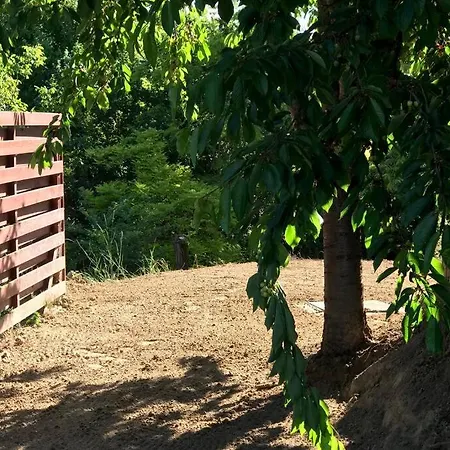 'new' Sunkissed On The Old Hill Balatonalmádi