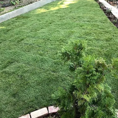 Apartment 'new' Sunkissed On The Old Hill