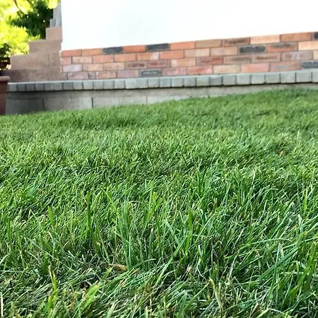 Apartment 'new' Sunkissed On The Old Hill