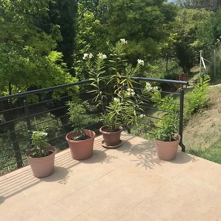 'new' Sunkissed On The Old Hill Appartement