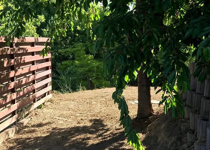 'new' Sunkissed On The Old Hill Balatonalmadi