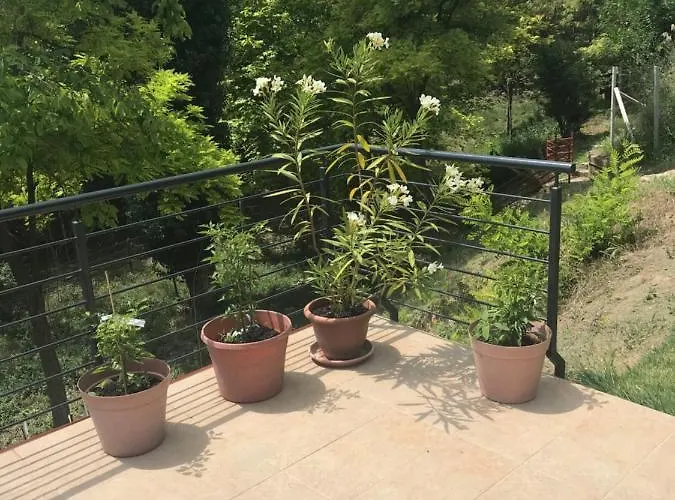 'new' Sunkissed On The Old Hill Apartment